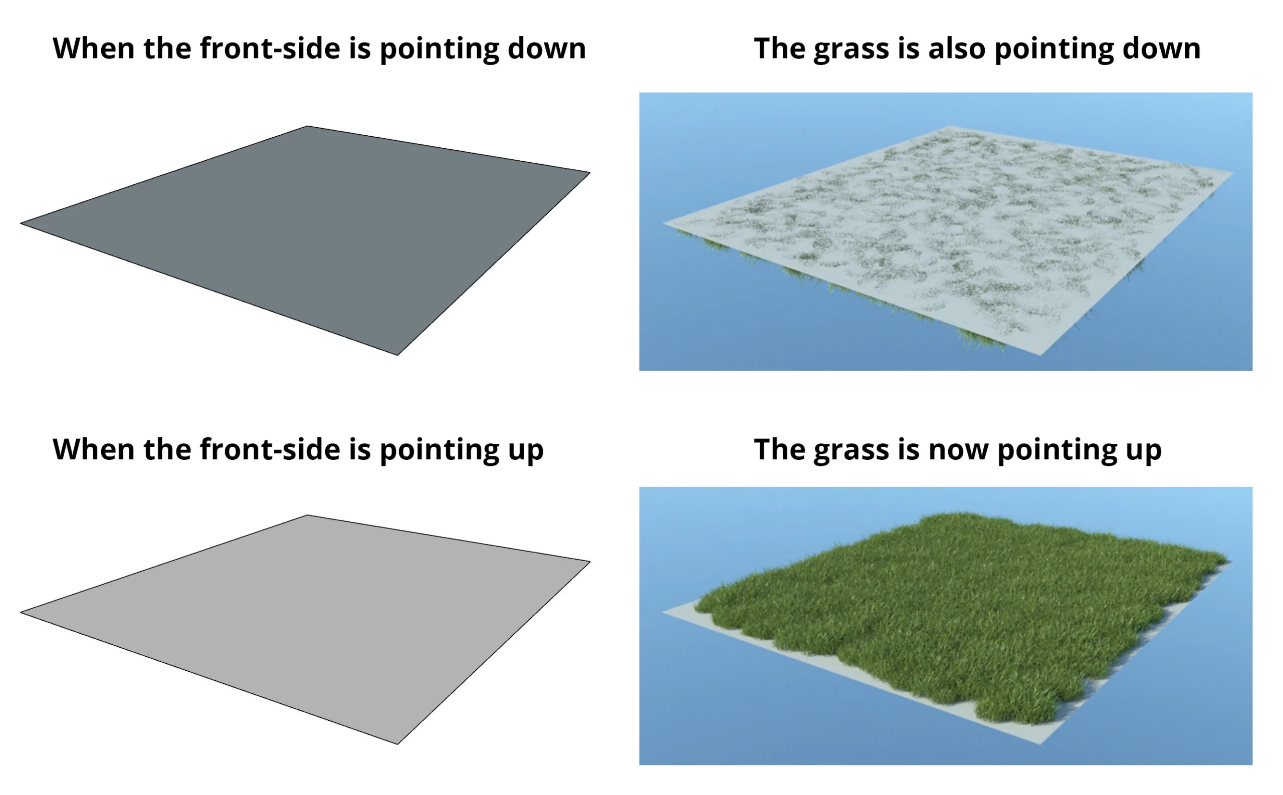 upsidedown_grass
